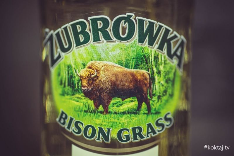 Z czym pić żubrówkę. Historia, produkcja wódki z trawą.