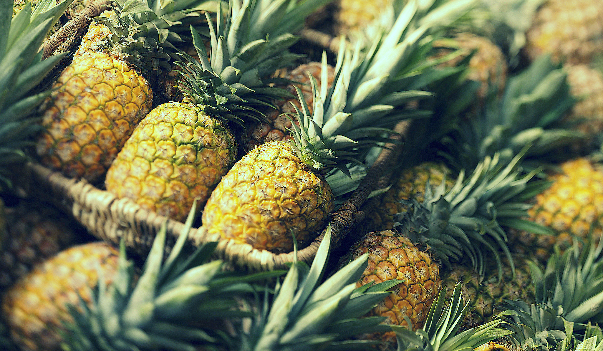 Ananas - owoc o ujemnym bilansie kalorycznym. Najlepszy owoc na odchudzanie. 