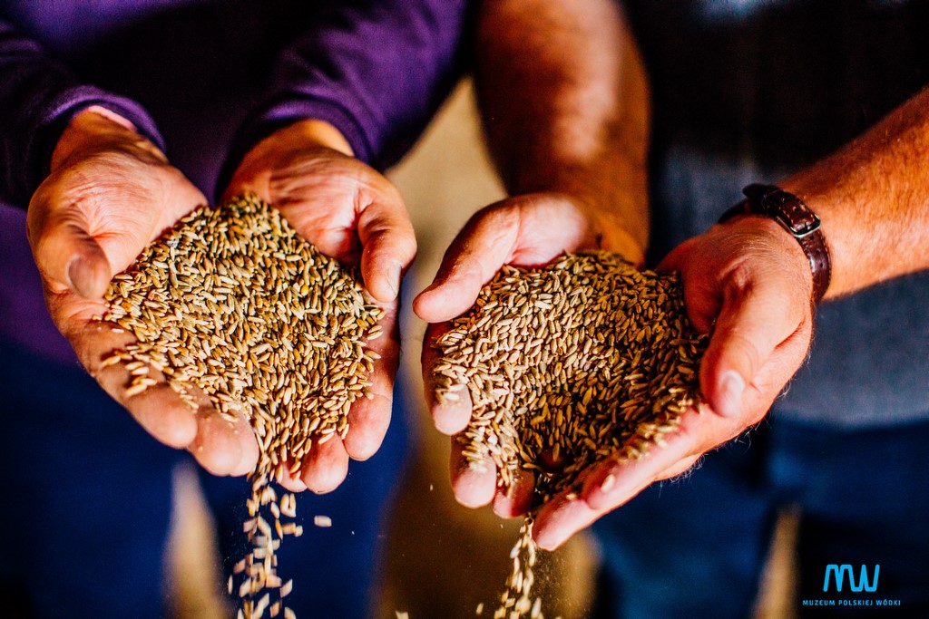 Polska wódka  w liczbach i procentach.  cz.1